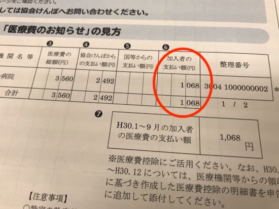 協会 けんぽ 医療 費 の お知らせ